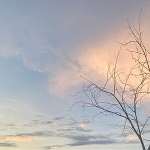 Meet your Posher, Maggie